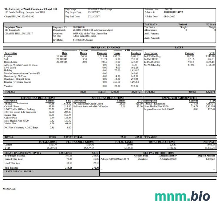 University of North Carolina pay stub Word and PDF template